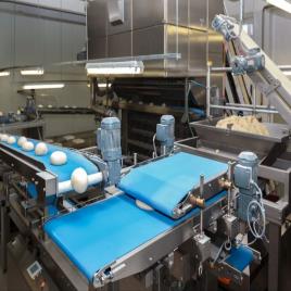 Ss Food Grade Belt Conveyor, Belt Thickness: 5 - 10 mm, 0.4kw - 22kw