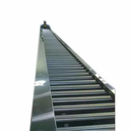 SS Powerised Roller Conveyor