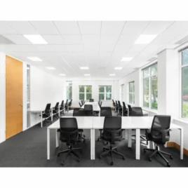 Staff Working Office Interior Design