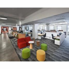 Staff Working Office Interior Design