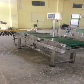 Stainless Steel Check Weigher Belt Conveyor System