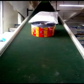 Stainless Steel Loading Conveyor System, Capacity: 50 kg per feet
