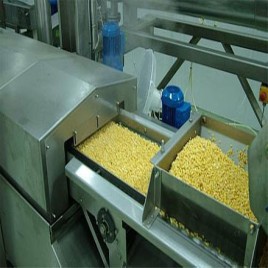 Stainless Steel Material Handling Conveyors