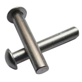 Stainless Steel Rivet