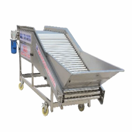 Stainless Steel Roller Infeed Conveyor, Capacity: 500Kg