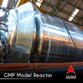 Stainlesss Steel Reactor Vessel