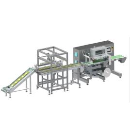 Strip Pouches Secondary Packaging System or Secondary Packaging Machine for Strip of Pouches