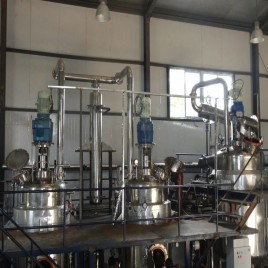 Styrax Benzoin Absolute Gum & Resin Extraction Plant, Capacity: 1