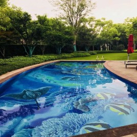 Swimming Pool Design Mosaic