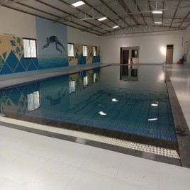 Swimming Pool Repair Service