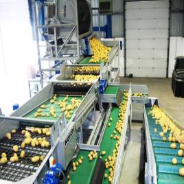 Table Chain Belt Conveyor