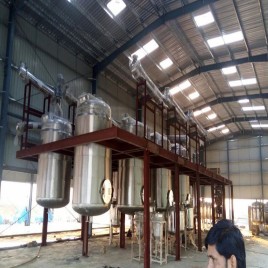Terminalia Chebula Extract plant manufacturers