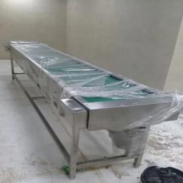 Thomson & Thomsons Mild Steel Conveyor Belt With Side Rail, Belt Width: 100 - 500 mm, Belt Thickness: 5 - 10 mm