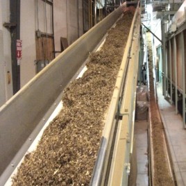 Tobacco Conveying Belts