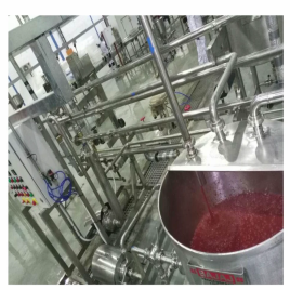 Tomato Ketchup Processing Plants