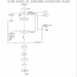 Turmeric / Curcumin Solvent Extraction Plant, Capacity: 200 TPD