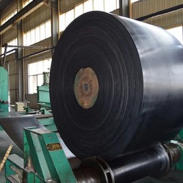 Up To 4-6 Feet Nylon Conveyor Belt, 10-20 Mm