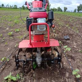 V-POWER 6hp Baby Weeder, For Agriculture, Engine Model: 139CC