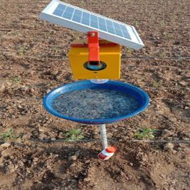 V-Power Plastic Solar Insect Light Trapper, For Agriculture, Packaging Type: Box