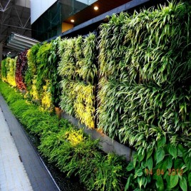 Vertical Garden