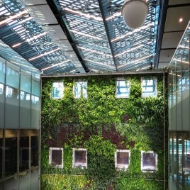 Vertical Gardening Services