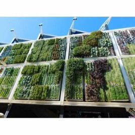 Vertical Gardening Services