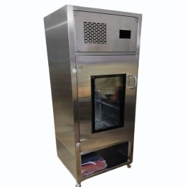 Vertical Mobile Laminar Air Flow, For Laboratory