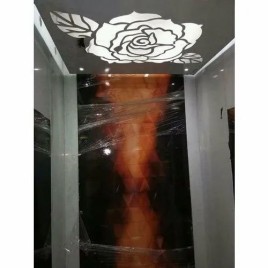 Visionext Glass Passenger Elevator, Max Persons/Capacity: 6 Persons, With Machine Room