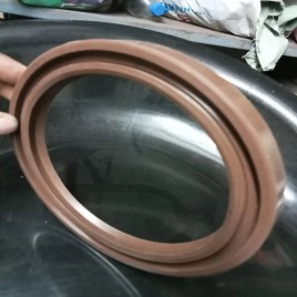 Viton Oil Seal