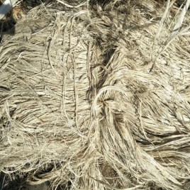 White Banana Fibre, For Filling Material