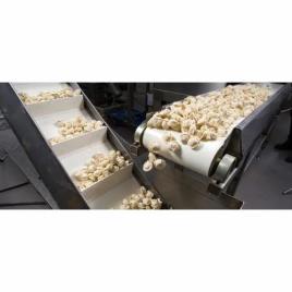 White PVC Food Grade Belt, Belt Width: 400 mm, Belt Thickness: 5 mm