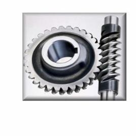 Worm Gears for Automobile Industry