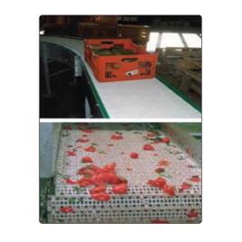 Y Link Modular Chain Conveyor