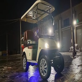 Yellow 2 Seater Electric Golf Cart