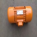 0.12 KW 3 Phase Motor Vibrator