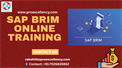 Master SAP BRIM Online Training – Learn Billing, Subscription & Revenue Automation