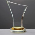 10 Inch Acrylic Award Trophies