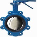 1.0 Inch M.s Butterfly Valve