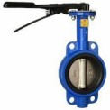 1.0 Inch M.s Butterfly Valve