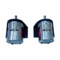 10 m 300 LPM DGSS 250 External Rotary Gear Pump, 5 HP, AC Powered