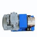 10 m 300 LPM DGSS 250 External Rotary Gear Pump, 5 HP, AC Powered