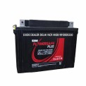 100 Ah Exide SMF VRLA Battery, 12 Months