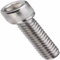 1.2inch Stainless Steel Allen Bolts