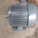 1.5 KW 2 HP Electrical Three Phase Motor, 1440 rpm