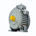 2 HP 4 Pole Single Phase Electric Motor, 1440 rpm