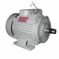 2 HP 4 Pole Single Phase Electric Motor, 1440 rpm