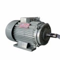 2 HP 4 Pole Single Phase Electric Motor, 1440 rpm
