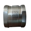 2 Inch SS Non Return Valve