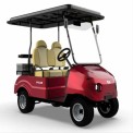 2 Seater Battery-Powered Golf Cart for Small and Large Campus Purpose