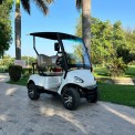 2 Seater Electric Golf Buggy